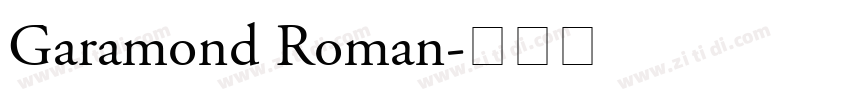 Garamond Roman字体转换